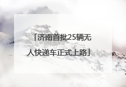 济南首批25辆无人快递车正式上路