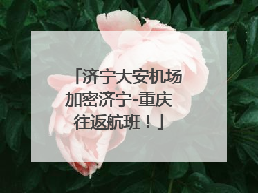 济宁大安机场加密济宁-重庆往返航班！