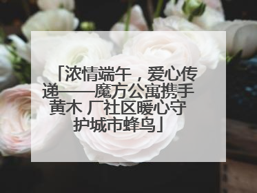 浓情端午，爱心传递——魔方公寓携手黄木 厂社区暖心守护城市蜂鸟