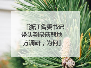 浙江省委书记带头到最薄弱地方调研，为何