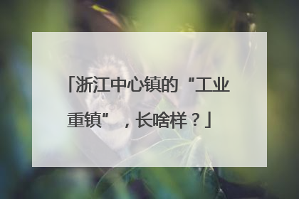 浙江中心镇的“工业重镇”，长啥样？