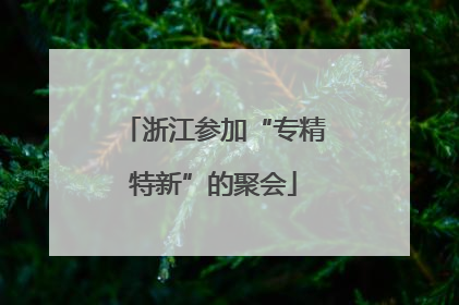 浙江参加“专精特新”的聚会