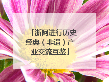 浙阿进行历史经典（非遗）产业交流互鉴