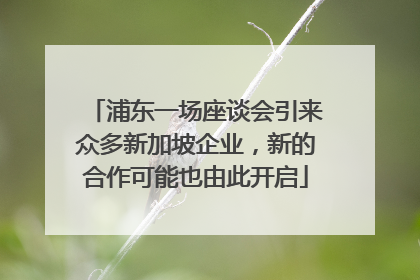 浦东一场座谈会引来众多新加坡企业，新的合作可能也由此开启