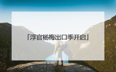 浮宫杨梅出口季开启