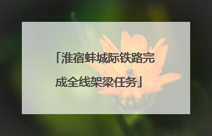 淮宿蚌城际铁路完成全线架梁任务