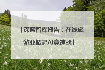 深蓝智库报告：在线旅游业掀起AI竞速战
