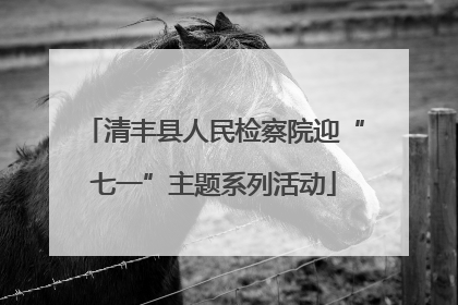 清丰县人民检察院迎“七一”主题系列活动