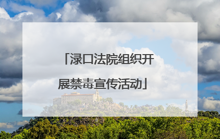 渌口法院组织开展禁毒宣传活动