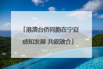 港澳台侨同胞在宁夏感知发展 共叙融合