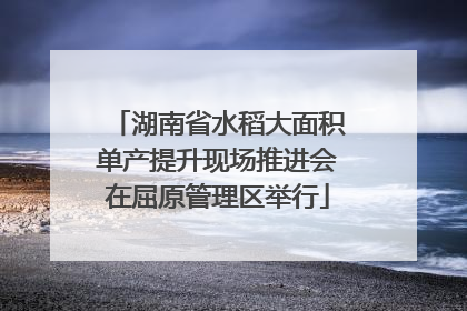 湖南省水稻大面积单产提升现场推进会在屈原管理区举行