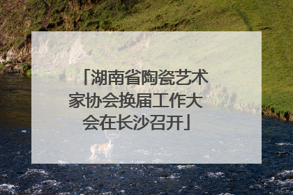 湖南省陶瓷艺术家协会换届工作大会在长沙召开