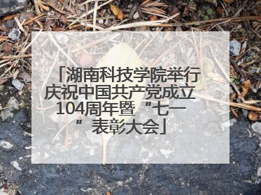 湖南科技学院举行庆祝中国共产党成立104周年暨“七一”表彰大会