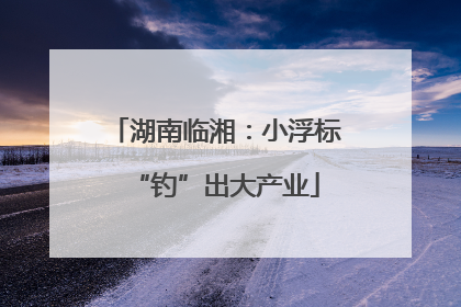 湖南临湘：小浮标“钓”出大产业