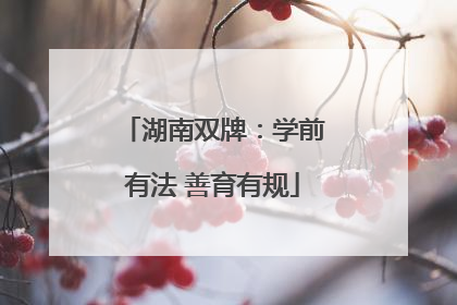湖南双牌：学前有法 善育有规