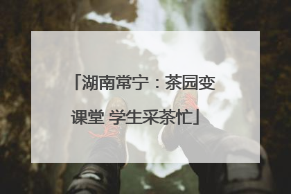 湖南常宁：茶园变课堂 学生采茶忙