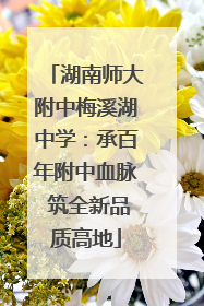 湖南师大附中梅溪湖中学：承百年附中血脉 筑全新品质高地