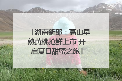 湖南新邵：高山早熟黄桃抢鲜上市 开启夏日甜蜜之旅