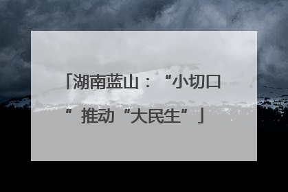 湖南蓝山：“小切口”推动“大民生”