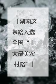 湖南这条路入选全国“十大最美农村路”