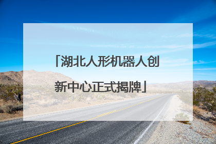 湖北人形机器人创新中心正式揭牌