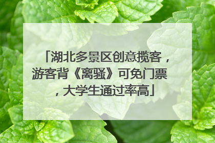 湖北多景区创意揽客，游客背《离骚》可免门票，大学生通过率高