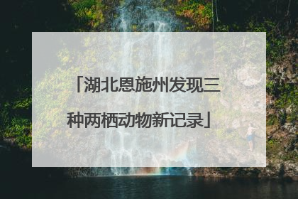 湖北恩施州发现三种两栖动物新记录