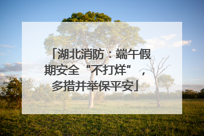 湖北消防：端午假期安全“不打烊”，多措并举保平安