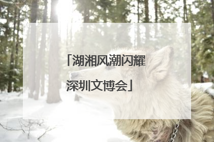 湖湘风潮闪耀深圳文博会