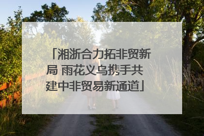 湘浙合力拓非贸新局 雨花义乌携手共建中非贸易新通道