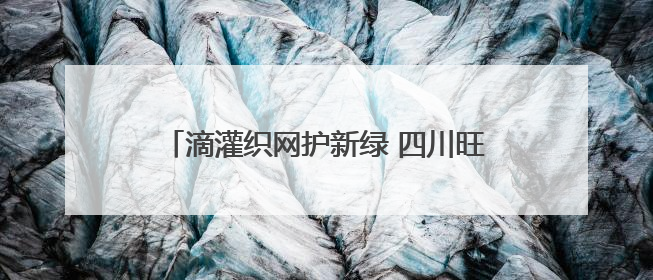 滴灌织网护新绿 四川旺苍茶园抗旱保茶管护忙