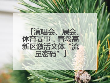 演唱会、展会、体育赛事，青岛高新区激活文体“流量密码”