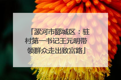 漯河市郾城区：驻村第一书记王元明带领群众走出致富路
