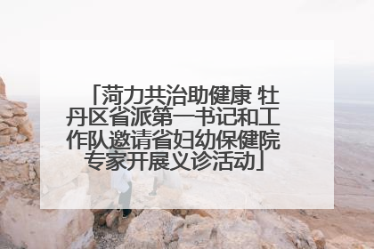 菏力共治助健康 牡丹区省派第一书记和工作队邀请省妇幼保健院专家开展义诊活动