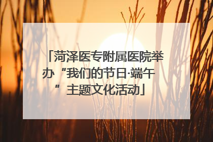 菏泽医专附属医院举办“我们的节日·端午”主题文化活动