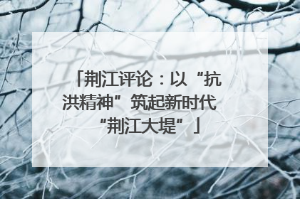 荆江评论：以“抗洪精神”筑起新时代“荆江大堤”