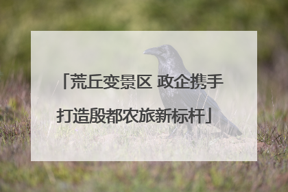 荒丘变景区 政企携手打造殷都农旅新标杆
