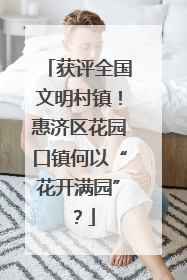 获评全国文明村镇！惠济区花园口镇何以“花开满园”？