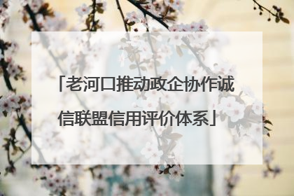 老河口推动政企协作诚信联盟信用评价体系