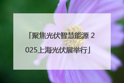 聚焦光伏智慧能源 2025上海光伏展举行