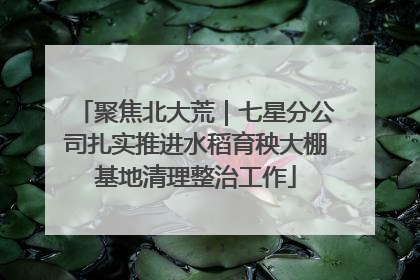 聚焦北大荒｜七星分公司扎实推进水稻育秧大棚基地清理整治工作