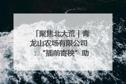 聚焦北大荒｜青龙山农场有限公司：“插前寄秧”助力农业节本增效
