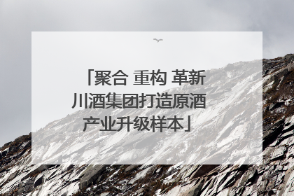 聚合 重构 革新 川酒集团打造原酒产业升级样本