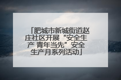 肥城市新城街道赵庄社区开展“安全生产 青年当先”安全生产月系列活动