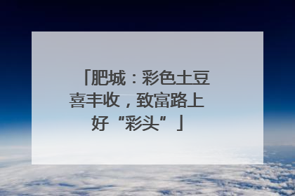 肥城：彩色土豆喜丰收，致富路上好“彩头”