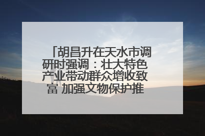 胡昌升在天水市调研时强调：壮大特色产业带动群众增收致富 加强文物保护推动文化创新发展