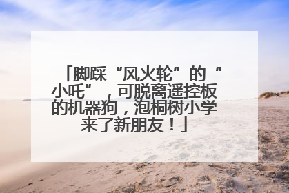 脚踩“风火轮”的“小吒”，可脱离遥控板的机器狗，泡桐树小学来了新朋友！
