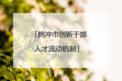 腾冲市创新干部人才流动机制