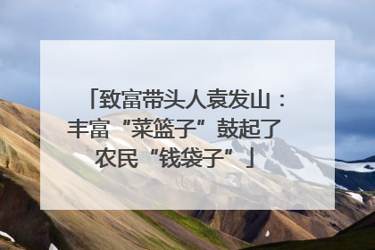 致富带头人袁发山：丰富“菜篮子”鼓起了农民“钱袋子”
