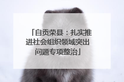 自贡荣县：扎实推进社会组织领域突出问题专项整治
